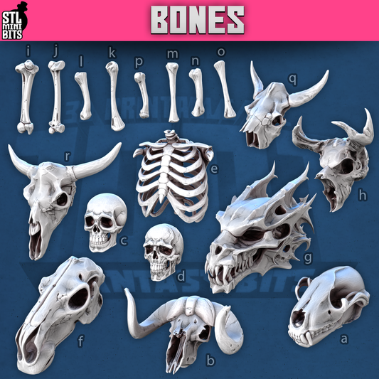 1001 Fantasy Bits - Bones